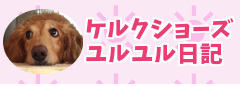 ケルクショーズBLOG ユルユル日記